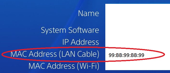 mac address lan cable